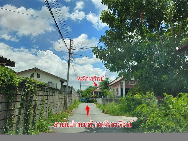 558 (หมู่บ้านสุขสันต์)  หัวทะเล เมืองนครราชสีมา นครราชสีมา