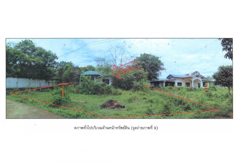 โคกไทย ปักธงชัย นครราชสีมา