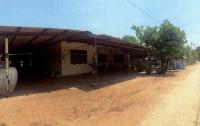 ขายบ้านเดี่ยว