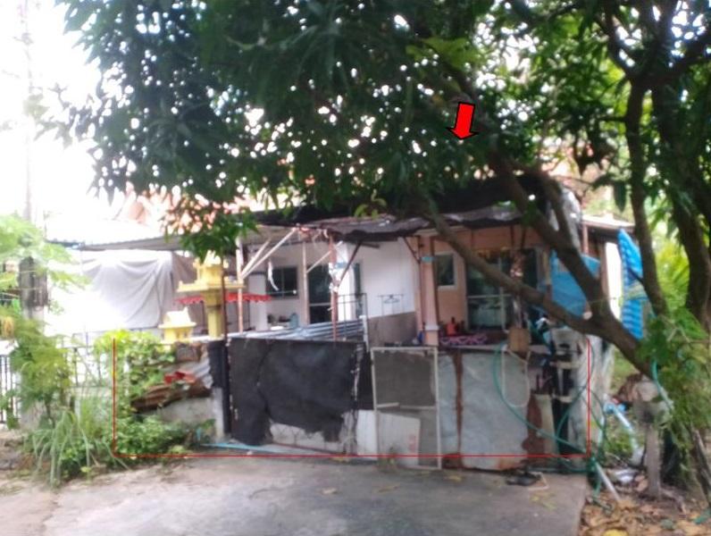 ตลาด เมืองนครราชสีมา นครราชสีมา