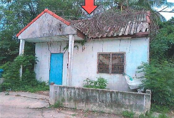 งิ้ว ปักธงชัย นครราชสีมา