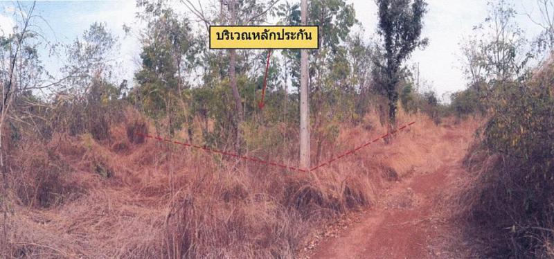 โชคชัย โชคชัย นครราชสีมา