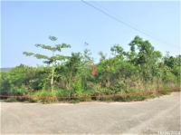 ขายที่ดินว่างเปล่า